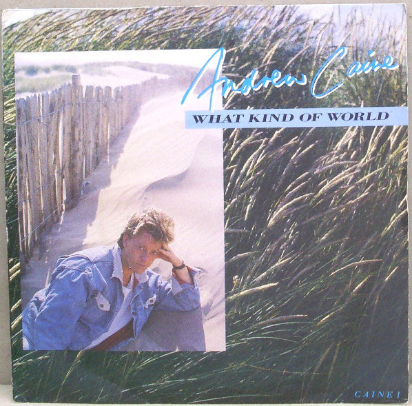 Andy Caine - What Kind Of World - Used Vinyl Record 7"