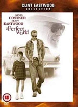 Perfect World - DVD