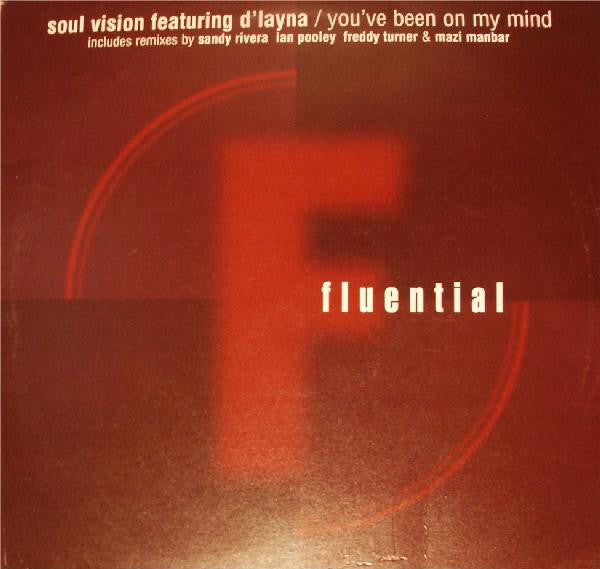Soul Vision - You've Been On My Mind - Used Vinyl Record 12"