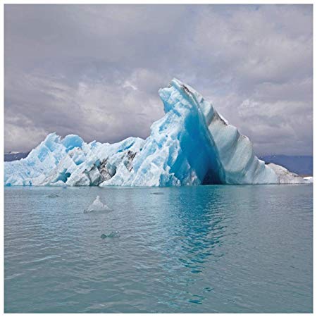 Surfer Blood - Snowdonia - Vinyl Record