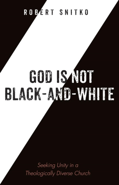 Snitko - God is Not Black-and-White - New paperback or softback