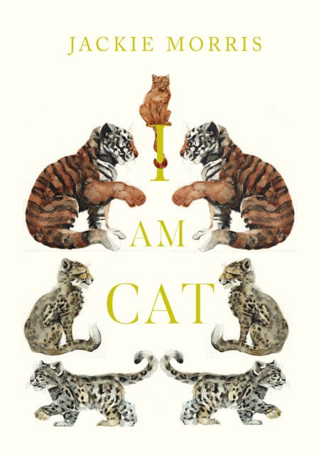 Jackie Morris - I am Cat - New Hardback