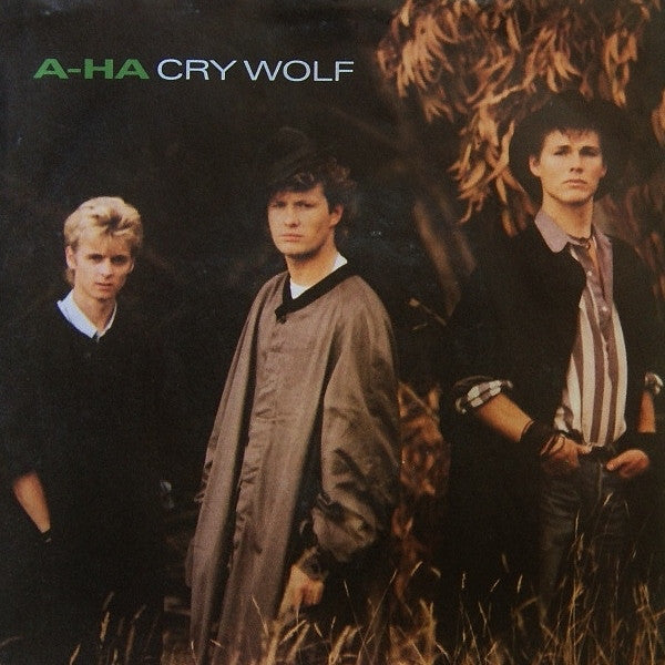 a-ha - Cry Wolf - Used Vinyl Record 7"