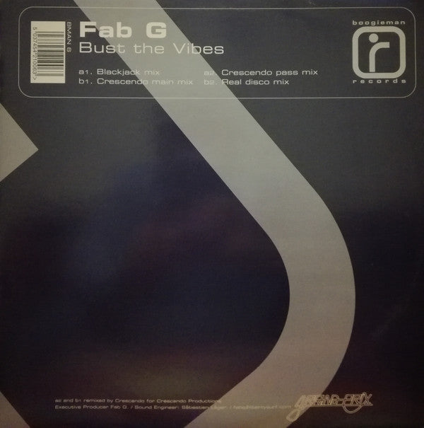 Fab G. - Bust The Vibes - Used Vinyl Record 12"