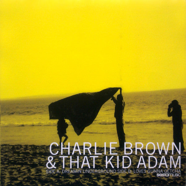 Charlie Brown - Dreamin Underground - Used Vinyl Record 12"