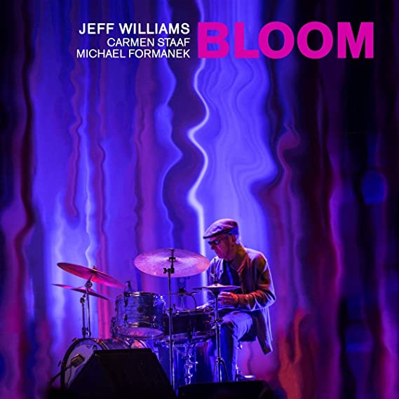 WILLIAMS JEFF - BLOOM - Vinyl Record