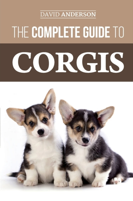 Anderson - Complete Guide to Corgis  Everything to know about both the