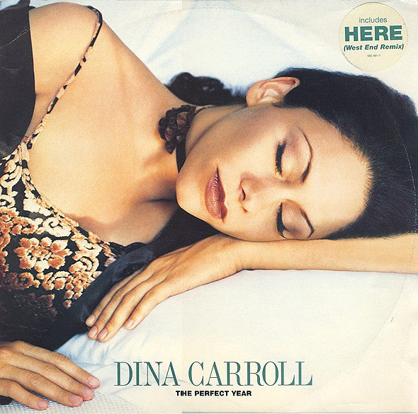 Dina Carroll - Perfect Year - Used Vinyl Record 12"