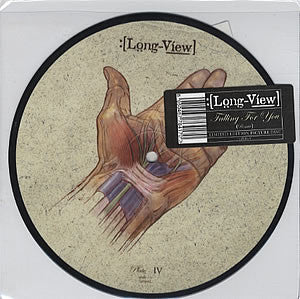 Longview - Falling For You - Used Vinyl Record 7"