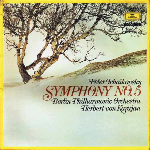 Pyotr Ilyich Tchaiko - Symphony No.5 - Used Vinyl Record
