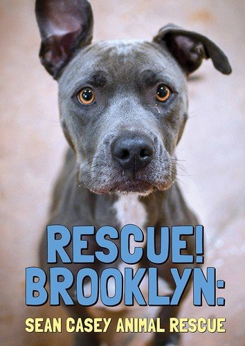 Rescue Brooklyn - DVD