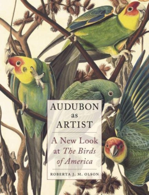Roberta J M Olson - Audubon as Artist : A New Look at the Birds of Ame