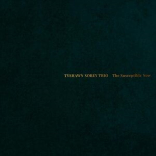 Tyshawn Sorey - Susceptible Now - CD