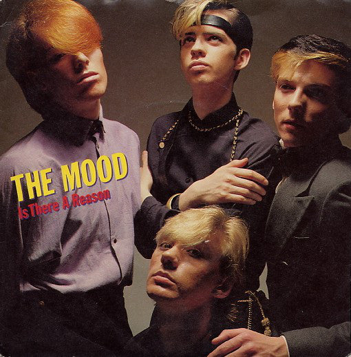 Mood - Is There A Reason - Used Vinyl Record 7"