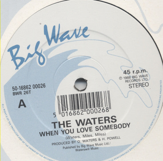 Waters - When You Love Somebody - Used Vinyl Record 12"