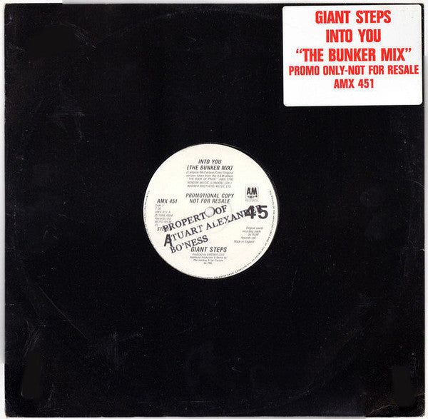 Giant Steps - Into You - Used Vinyl Record 12"