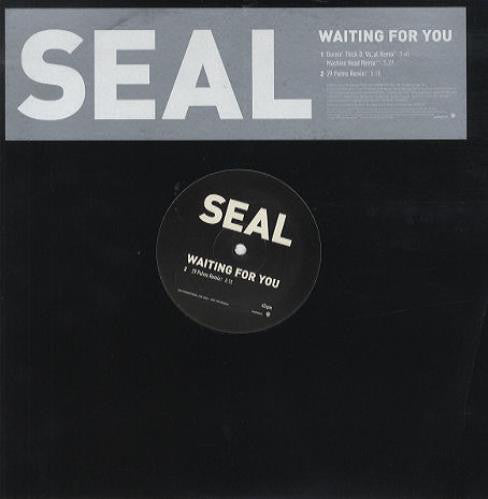 Seal - Waiting For You - Used Vinyl Record 12"