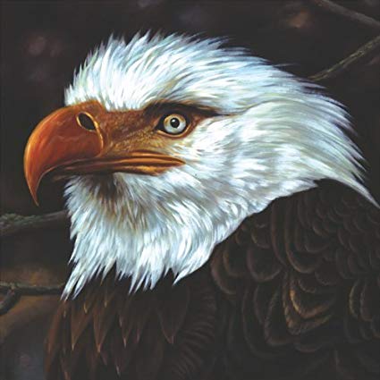 Mogwai - Hawk Is Howling - CD