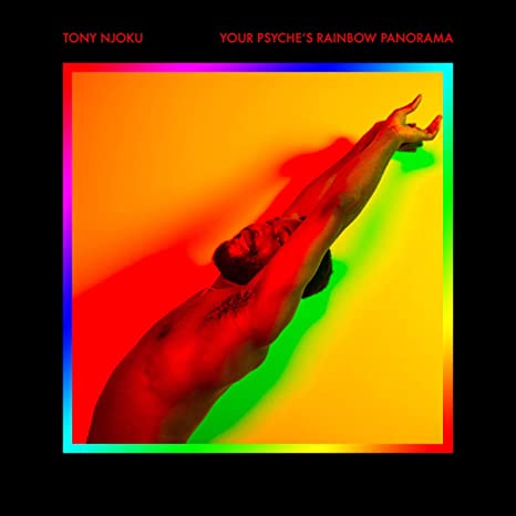 NJOKU TONY - YOUR PSYCHES RAINBOW PANORAMA - Vinyl Record