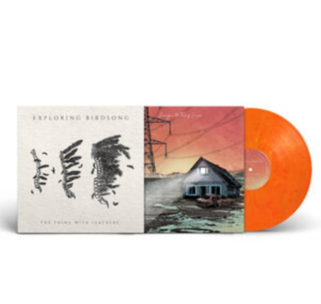 Exploring Birdsong - - LP  (PREORDER FOR RELEASE DATE 24/03/23) - New V