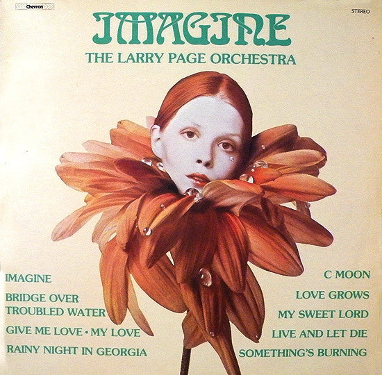Larry Page Orchestra - Imagine - Used Vinyl Record