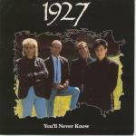 1927 - You'll Never Know - Used Vinyl Record 12"