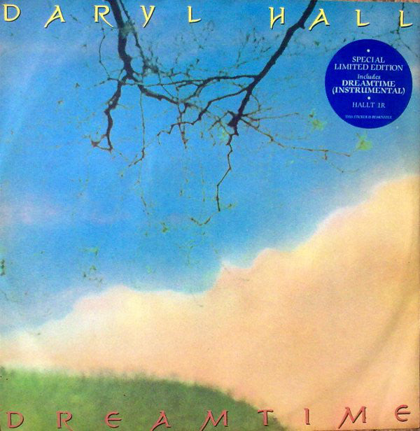 Daryl Hall - Dreamtime - Used Vinyl Record 12"