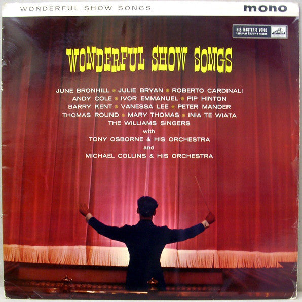 Various - Wonderful Show Songs - Used Vinyl Record
