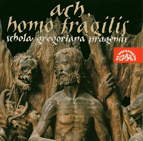 NOSKAIOVA PETRA - ACH  HOMO FRAGILIS - CD