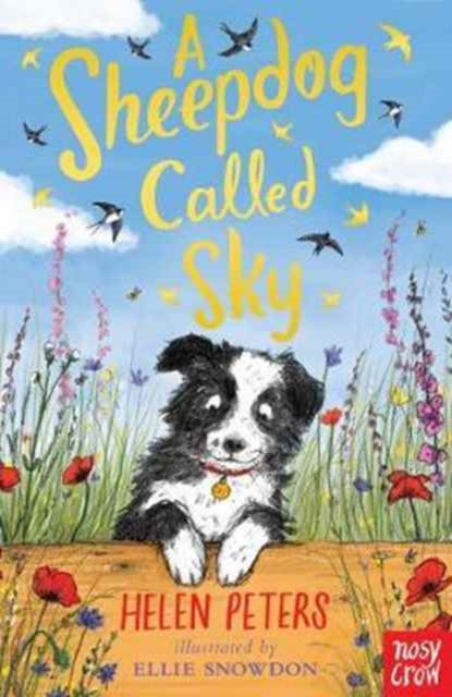 Helen Peters - A Sheepdog Called Sky - Paperback