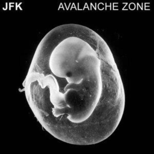 JFK - AVALANCHE ZONE - CD