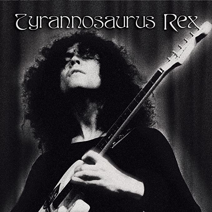 TYRANNOSAURUS REX - A CROWN OF DARK SWANSDOWN - Vinyl Record VL