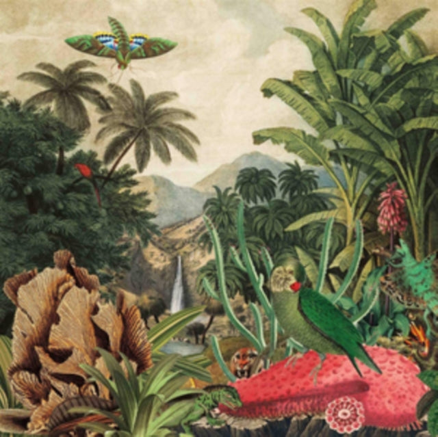 LAGOSS - IMAGINARY ISLAND MUSIC VOL.1 - Vinyl Record
