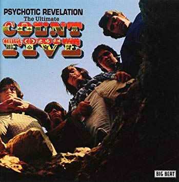 Count Five - Psychotic Revelation - The Ultimate - CD