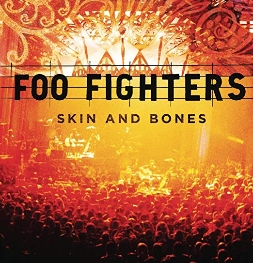 Foo Fighters - Skin And Bones - Vinyl Record2