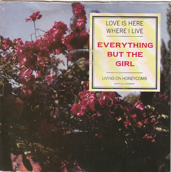 Everything But The G - Love Is Here Where I Live - Used Vinyl Record 7"