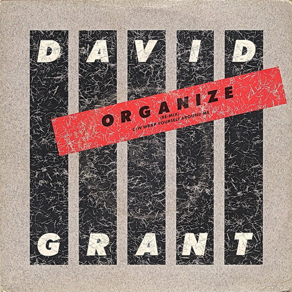 David Grant - Organize / Wrap Yourself Around Me - Used Vinyl Record