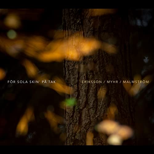 ERIKSSON/MYHR/MALMST - FOR SOLA SKIN PA TAK - CD