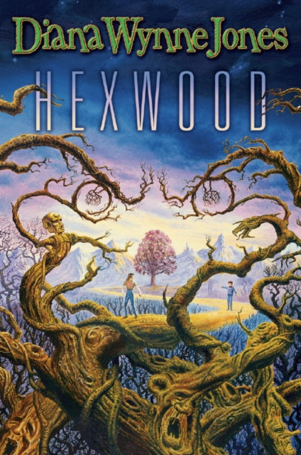 Diana Wynne Jones - Hexwood - Paperback