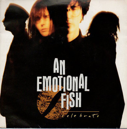 An Emotional Fish - Celebrate - Used Vinyl Record 7"