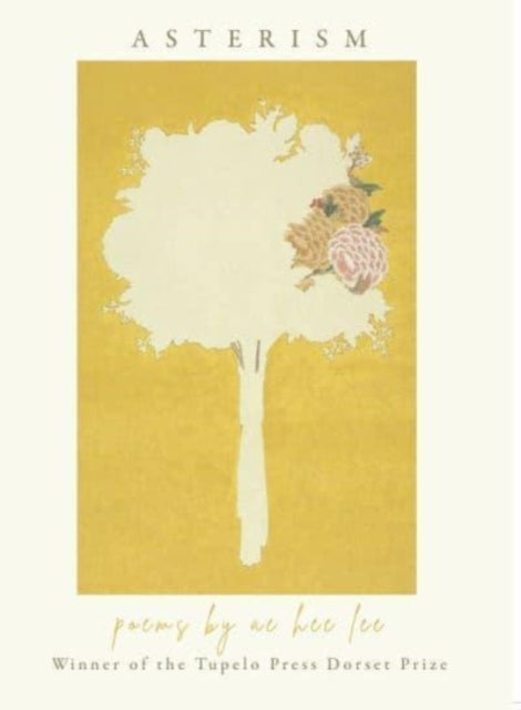 Ae Hee L - Asterism - New Paperback