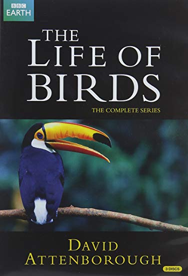 David Attenborough: The Life of Birds - The Complete Series - DVD