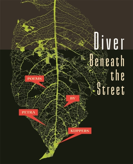 Petra Kuppers - Diver Beneath the Street - Paperback