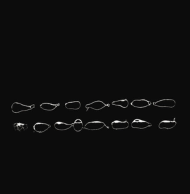 Container - Yacker LP  RELEASE DATE 05/04/24 (THIS CAN CHANGE!) - Vin