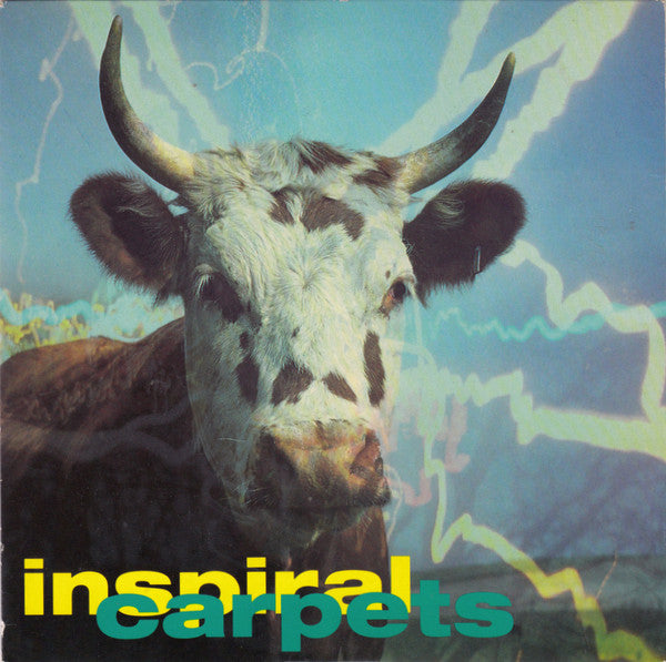 Inspiral Carpets - She Comes In The Fall - Used Vinyl Record 7"