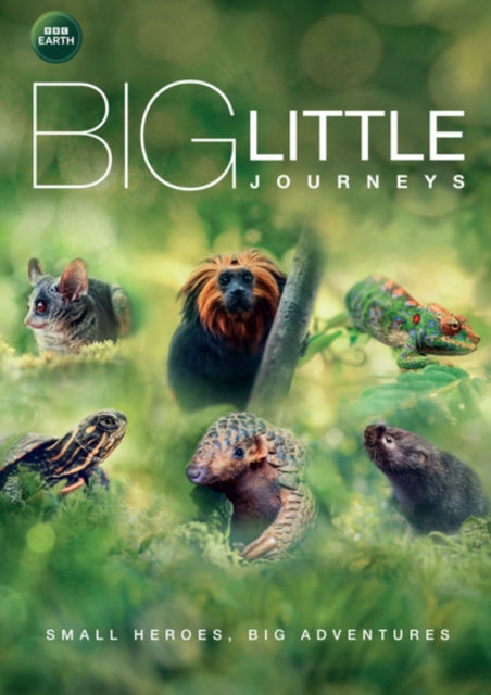 BIG LITTLE JOURNEYS - Big Little Journeys - DVD