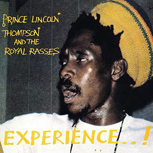 Experience - Vinyl Record