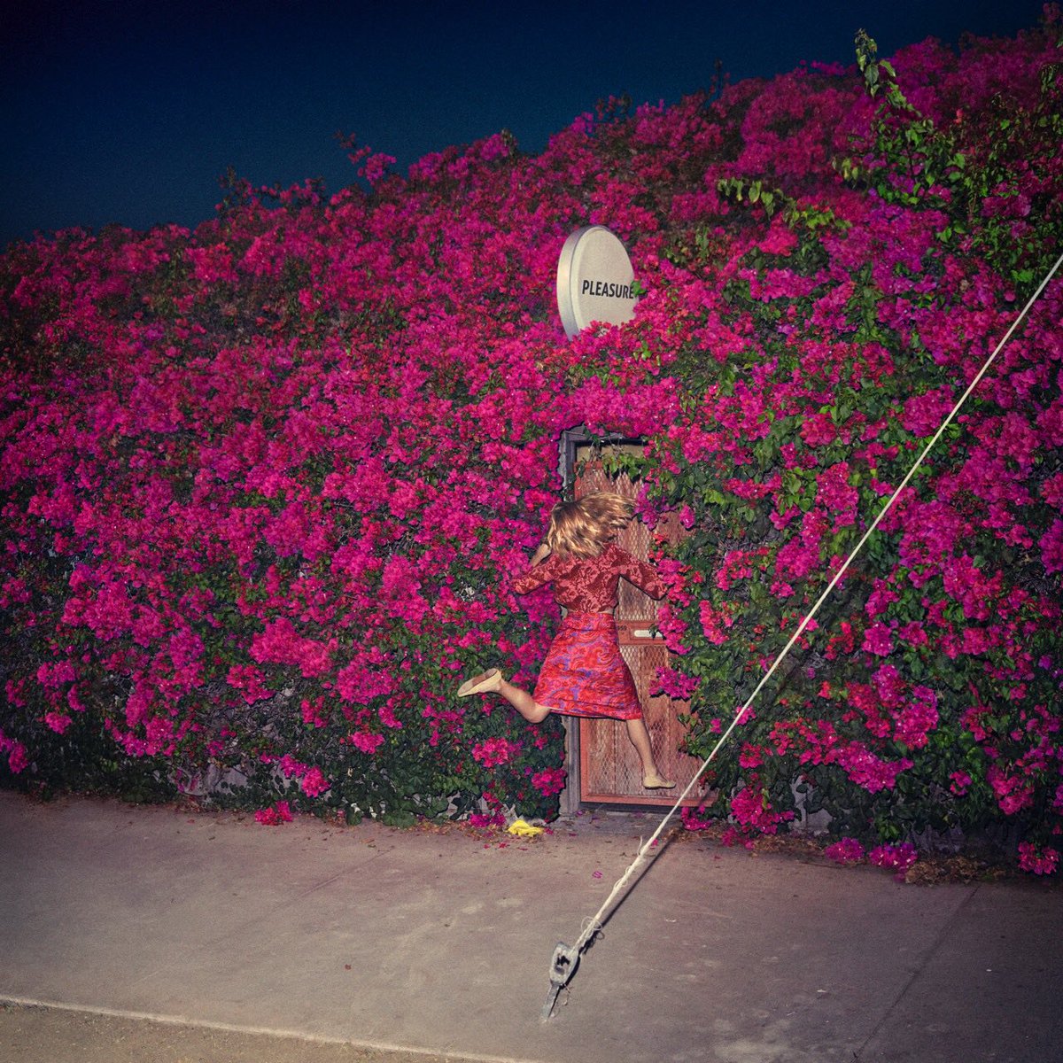 Feist - Pleasure - CD