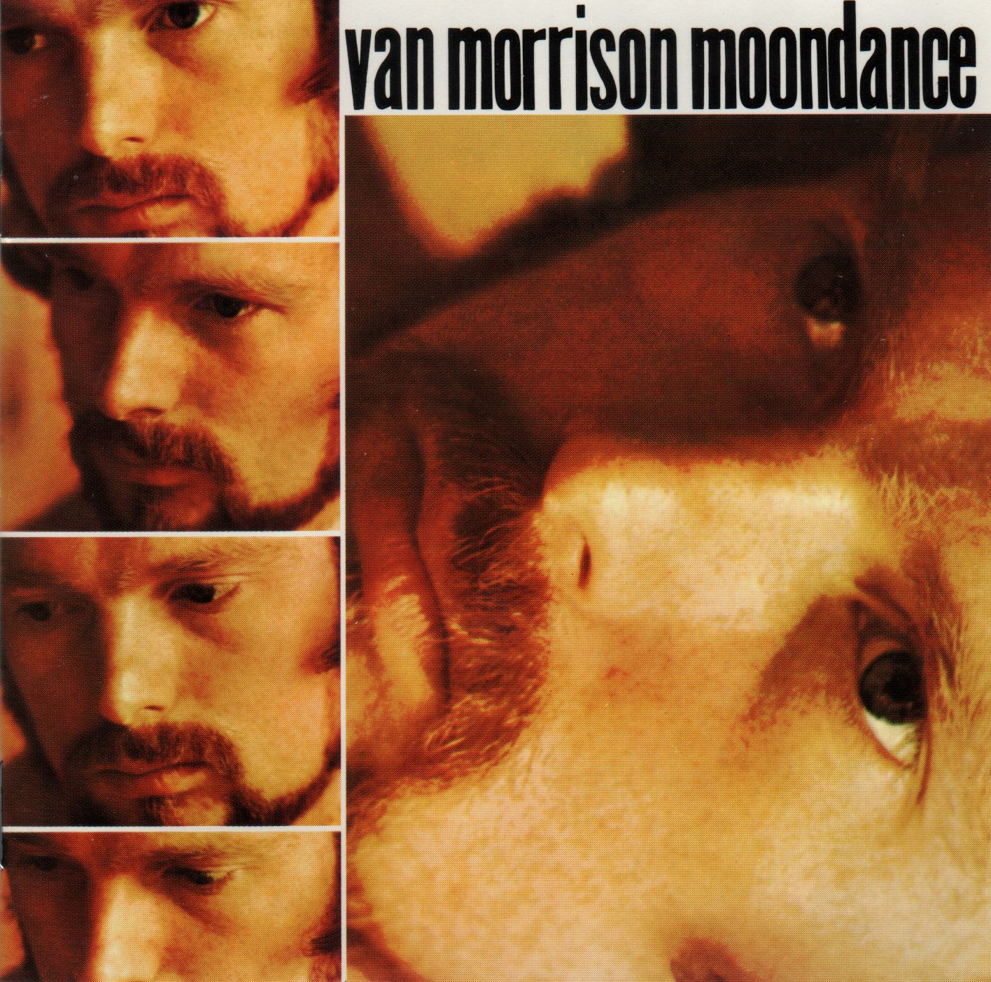 Van Morrison - Moondance - Used CD
