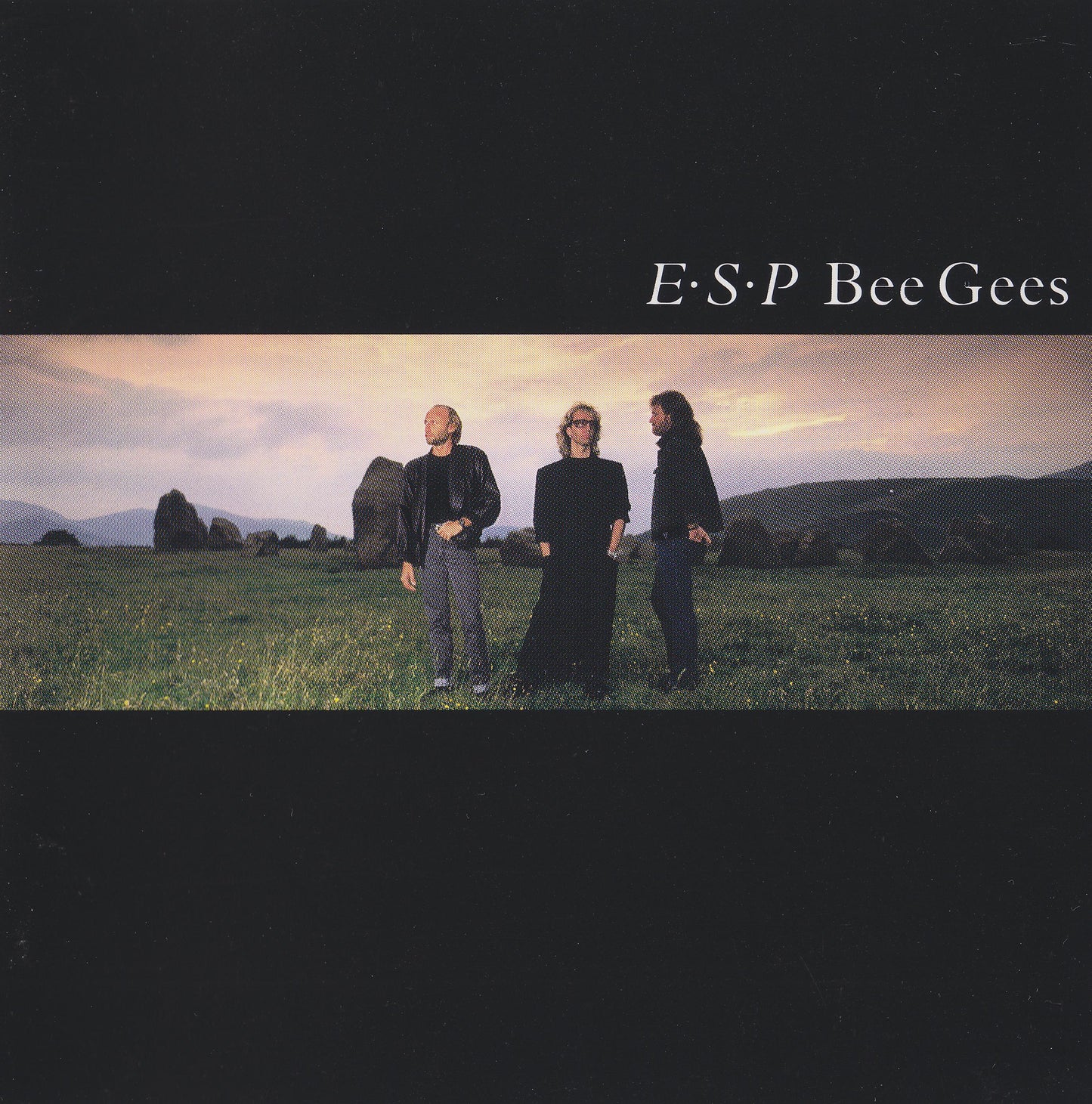 Bee Gees - E-S-P - Used Vinyl Record
